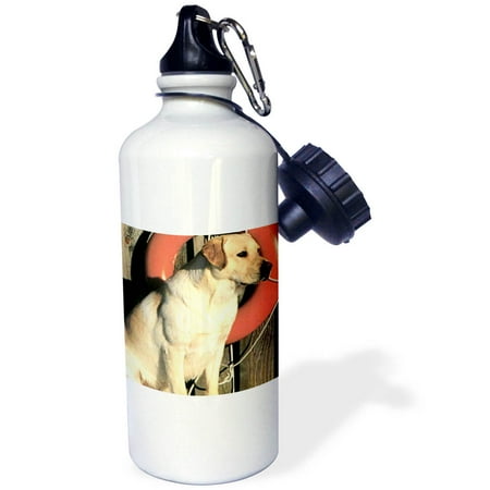 

Yellow Labrador Lab 21 oz Sports Water Bottle wb-741-1