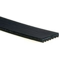 thumbnail image 2 of ACDelco V-Ribbed Serpen (B), 2 of 4