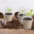 thumbnail image 5 of 10 Uds taza de cultivo de plántulas maceta Biodegradable taza de cultivo de plantas para jardinería, 5 of 5
