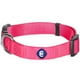 thumbnail image 1 of Blueberry Pet Essentials Collar Clásico Para Perro, 21 Colores, Color Rosa Francés, Cuello Grande, Collares De Nailon De 18 A 26 Pulgadas Para Perros, 1 of 8