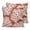 Rust, Red, White, variant on 24x24 Pillow Covers Set of 2, Purple Coral Coastal Square Throw Pillow Covers for Couch/Sofa/Living Room, White Summer Ocean Seaside Decorative Soft Pillowcases for Couch Throw Pillows