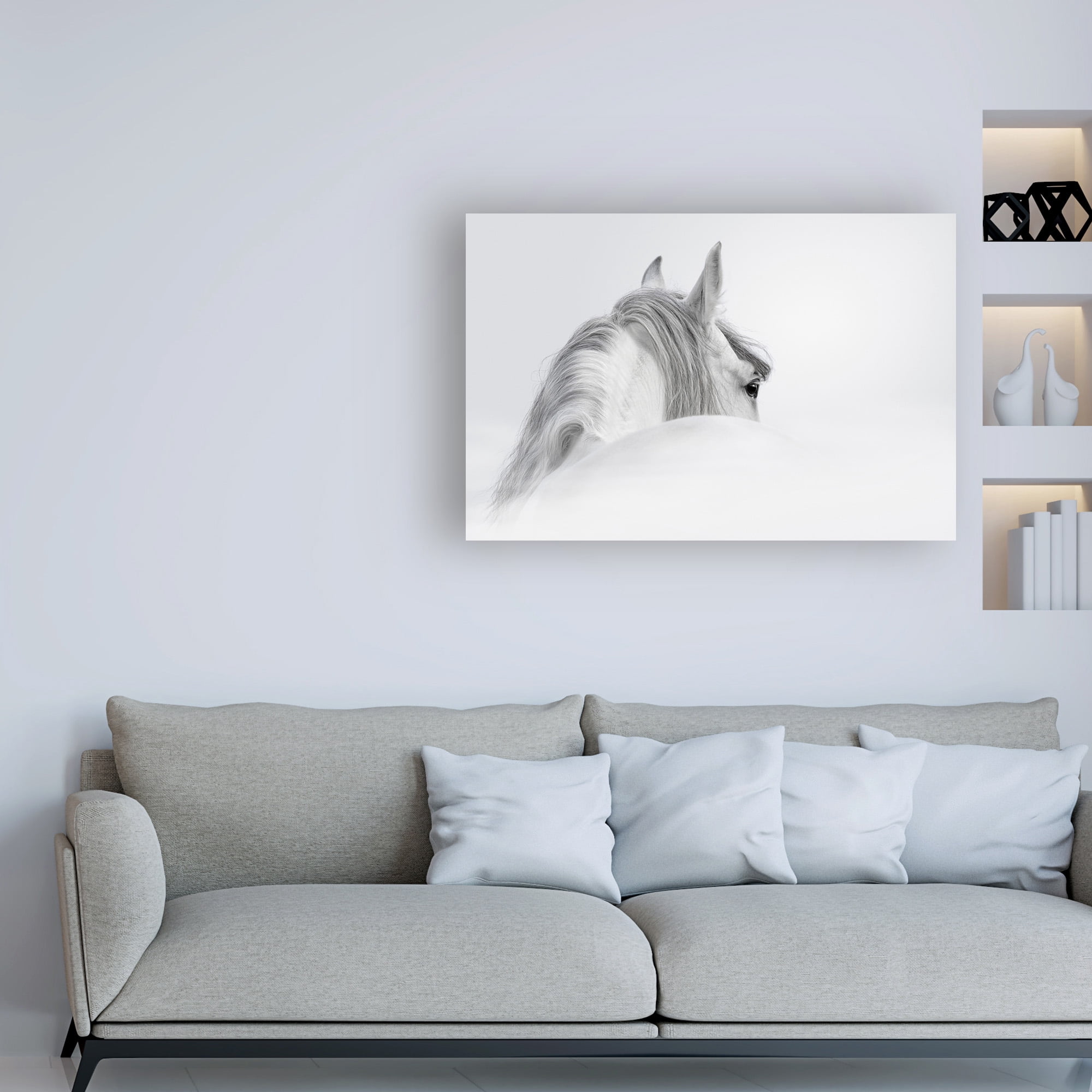 Trademark Fine Art 'White Horse On White' Canvas Art by PhotoINC Studio