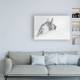 thumbnail image 3 of Trademark Fine Art 'White Horse On White' Canvas Art by PhotoINC Studio, 3 of 3