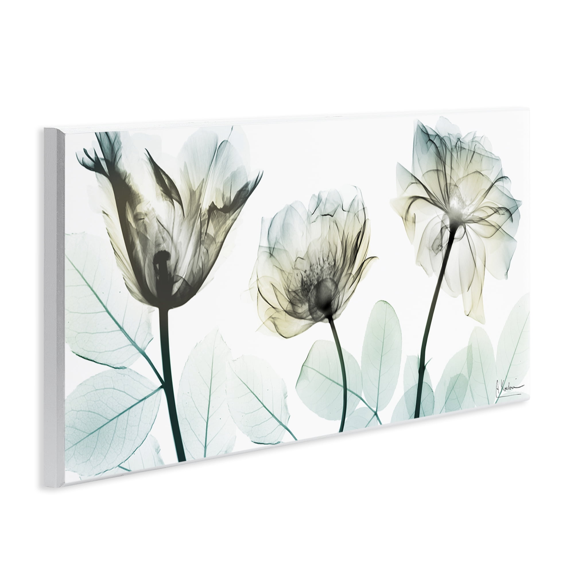 Stupell Industries Jewel of Passion Flowers Wall Plaque Art, design by Albert Koetsier