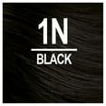 thumbnail image 2 of Naturtint 1N Black Men's Permanent Hair Color, 2 of 8