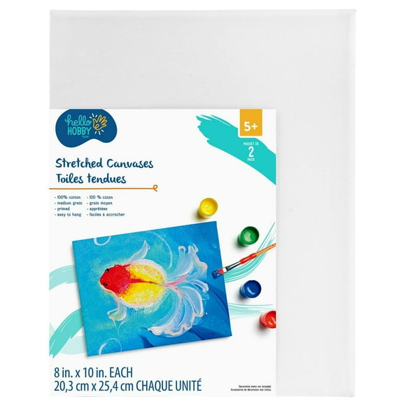 HELLO HOBBY STRETCHED CANVASES 2 PACK 8 in. x 10 in. EACH, 8 in. x 10 in. EACH