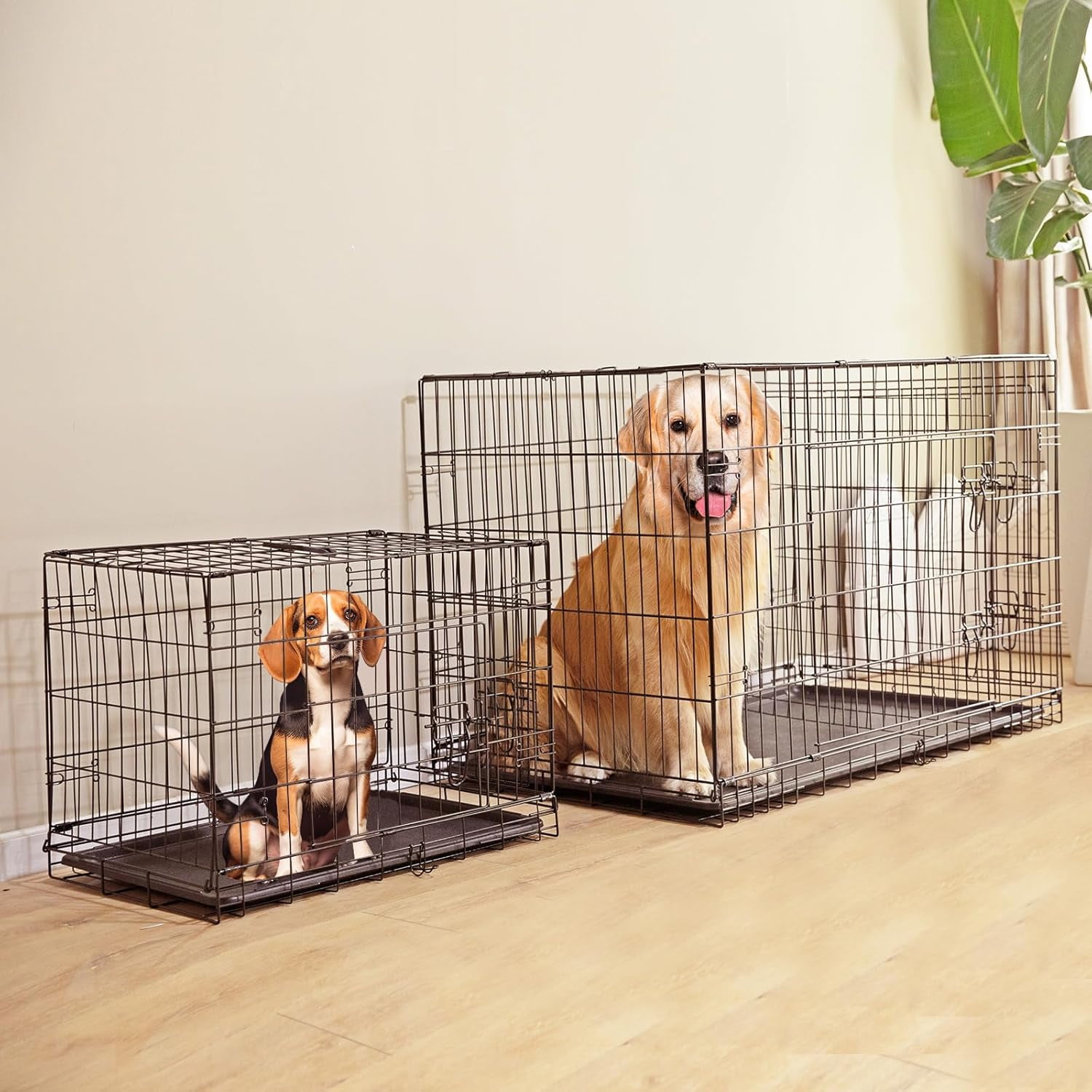 QUIOCOZY 42 Inch Extra Large Double-Door Dog Crate - Enhanced Foldable Metal Pet Kennel with Divider & Removable Tray