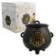 thumbnail image 1 of Galletero de Cerámica Decorativo, Caldero Mágico Harry Potter en 3D con Tapa Hermética y Caja de Regalo, 1 of 7