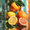 Citrus Fruits Still Life, variant on UXIEQU New York City Skyline Impressionist Canvas Wall Art Print 15.75x11.81 Inches