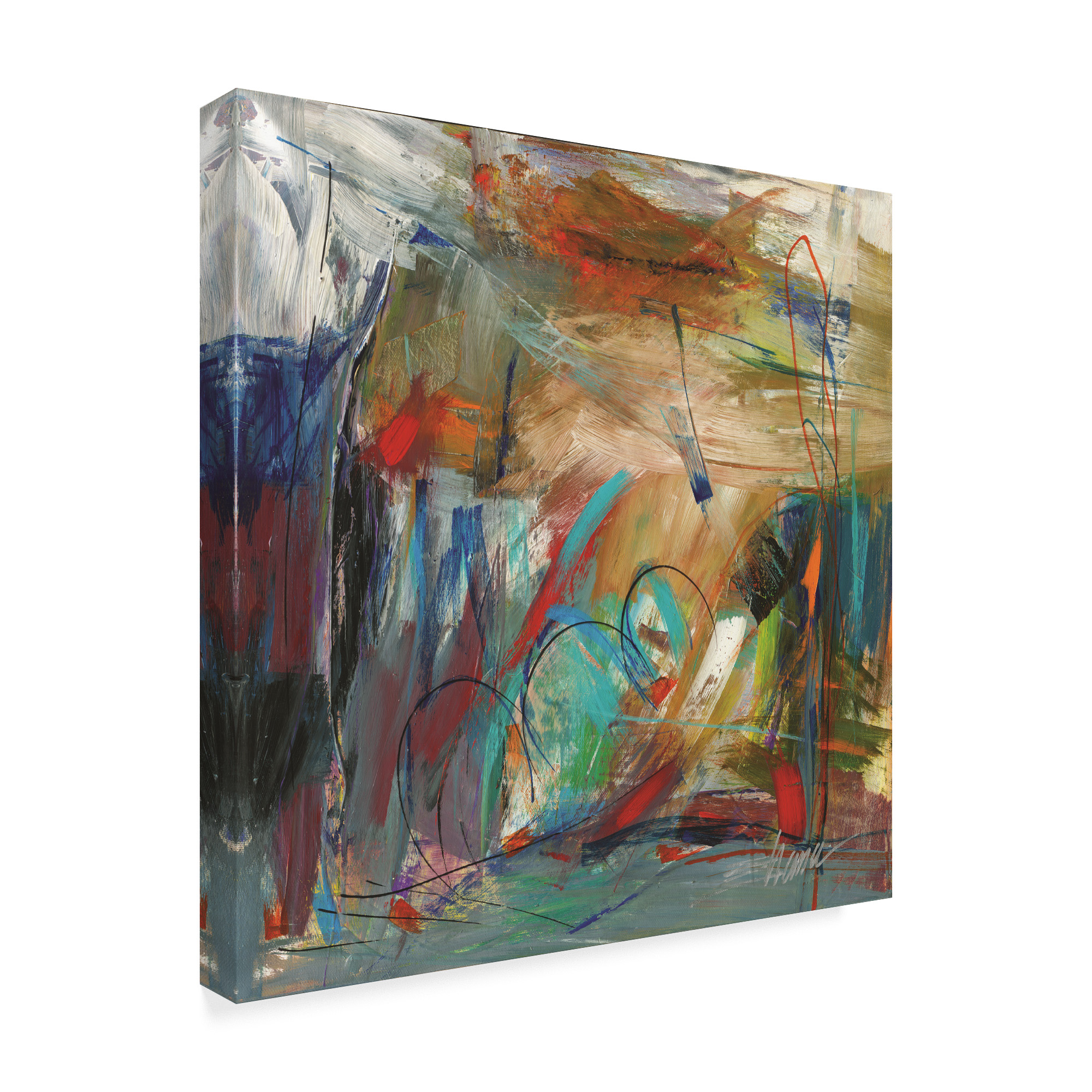 Trademark Fine Art 'Colorful Cosmos' Canvas Art by Shana Dominguez