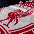 thumbnail image 2 of Liverpool Football Crest Beach Towel 100% Cotton LFC Mesh Bath Swim Towel Liverpool Gift for Teens Men Kids 70 x 140 cm, 2 of 7