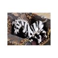 thumbnail image 2 of Silver Tone Black White Striped African Zebra Horse Brooch Pin, 2 of 4