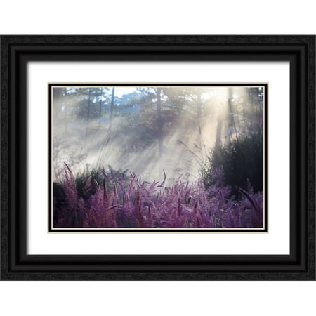 Thanh Tung, Nguyen 14x11 Black Ornate Wood Framed with Double Matting Museum Art Print Titled - Spring