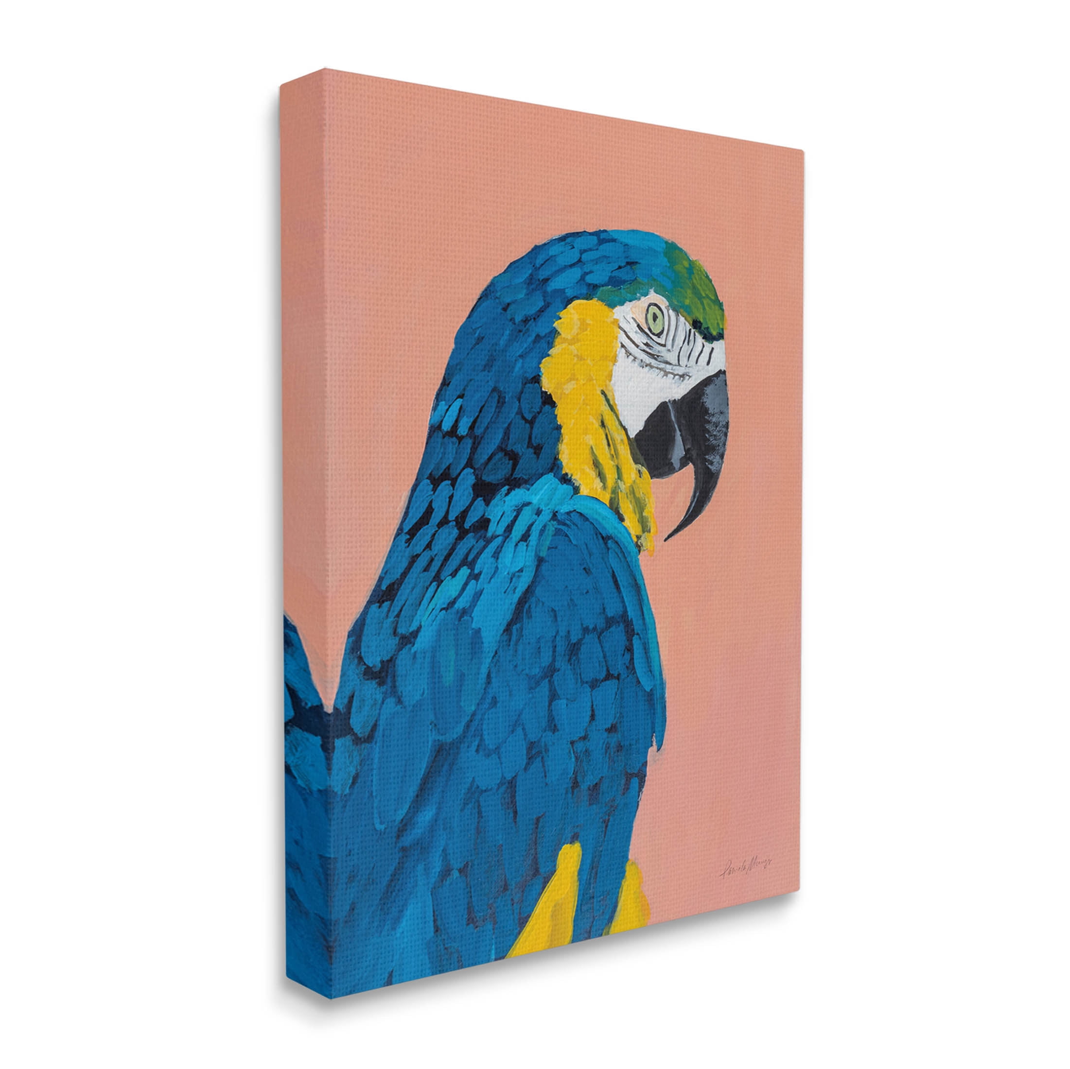 Stupell Industries Bold Parrot Wildlife Portrait Painting Gallery Wrapped Canvas Print Wall Art, Design by Pamela Munger