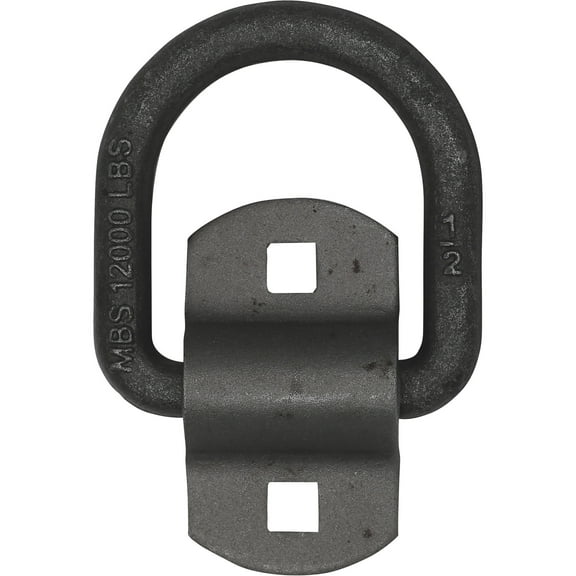 CargoSmart Bolt-On/Weld-On D-Ring, 12,000-Lb. Capacity, Model# 6505