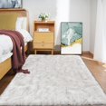 thumbnail image 1 of LAICAIW 4x6 Rug Fuzzy White and Grey Tips Area Rug for Living Room Washable Shag Rug for Bedroom Fluffy Faux Sheepskin Fur Rug Home Decor, Rectangle, 1 of 7