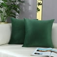 thumbnail image 1 of Cterwk - Juego de 2 fundas de cojín de terciopelo para salón y dormitorio, decorativas, de color liso, para sofá, sillón y silla, 45,7 x 45,7 cm, 1 of 7