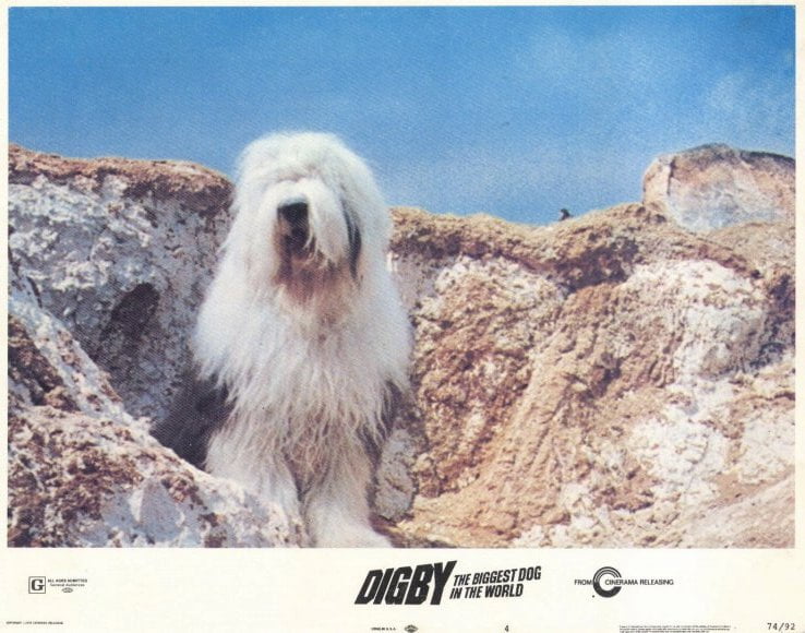 Digby, the Biggest Dog in World movie POSTER (Style A) (11" x 14