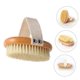 thumbnail image 4 of Cepillo corporal de cerdas naturales de jabalí con mango largo para una exfoliación profunda y para usar como cepillo de espalda en la ducha., 4 of 5