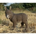 thumbnail image 3 of Hi-Line Gift Ltd 87974-B Standing Brown Donkey Looking Left Statue, 3 of 8