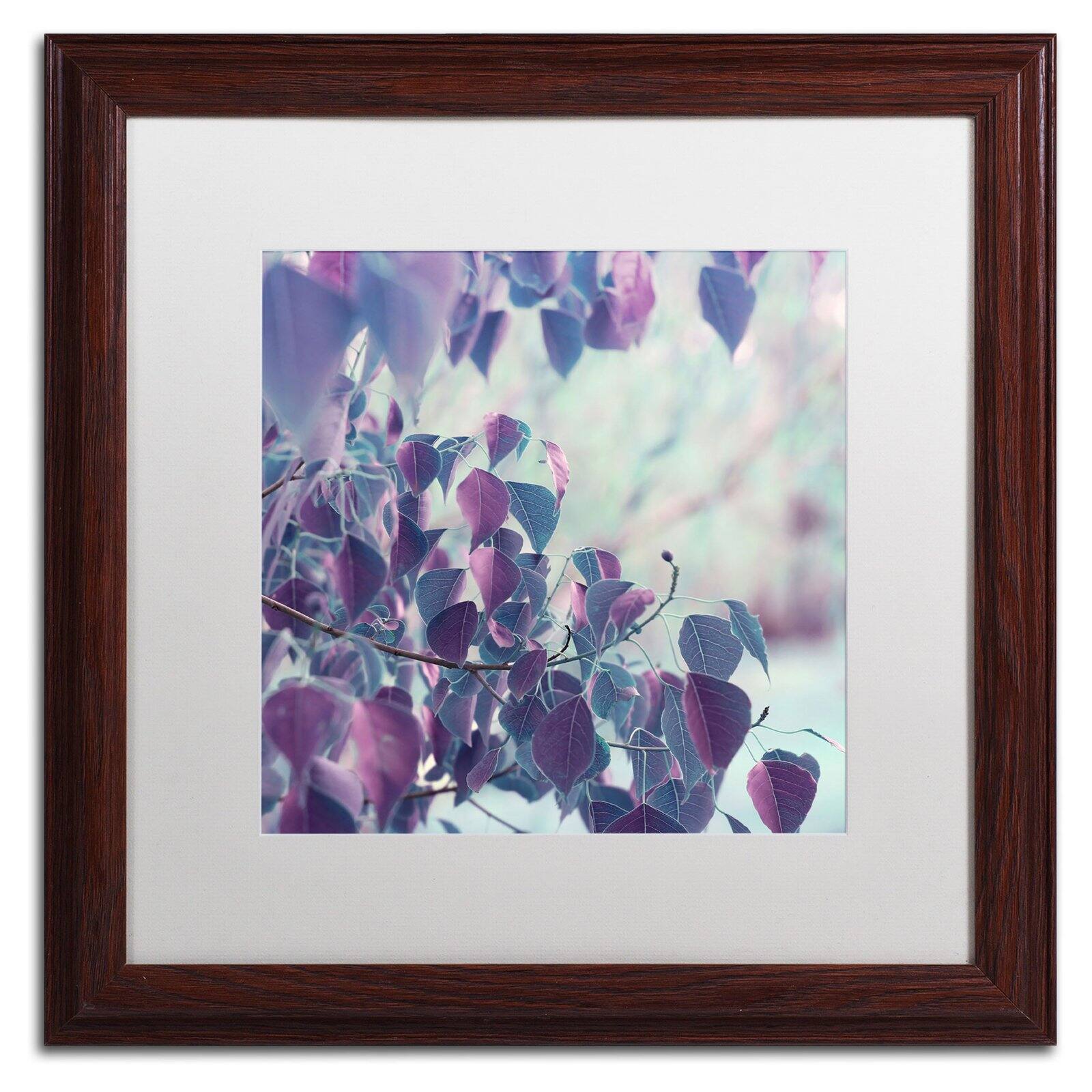 Trademark Fine Art "Summer Thoughts" Canvas Art by Beata Czyzowska Young Black Matte, Black Frame