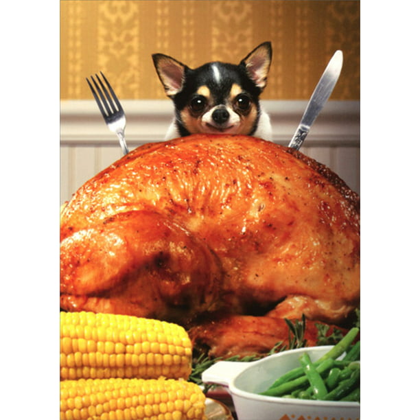 Avanti Press Little Dog Behind Big Turkey Funny Chihuahua Thanksgiving Card