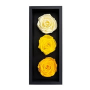 Mother's Day Preserved Roses in Wood Box, 3 Yellow Birthday Flowers, Everlasting Flowers, Natural Forever Roses That Last for Years, Eternal Roses