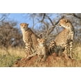 thumbnail image 2 of Marx, Jaco 14x11 White Modern Wood Framed Museum Art Print Titled - Trio, 2 of 4