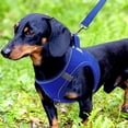 thumbnail image 2 of Chaleco de malla transpirable pequeño Joytale para perros, azul marino, 2 of 6