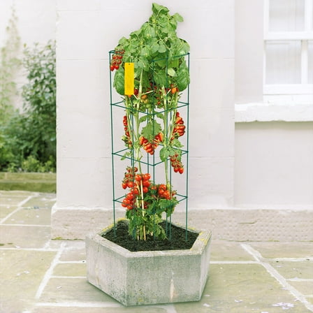 Tomato Cages Plant Support Cages 6Pack Square Steel 3.3FT Green for Garden, Planting