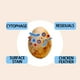 thumbnail image 3 of Advancent 2 cepillos limpiadores flexibles para eliminar la suciedad, cepillo limpiador de huevos, cepillo para huevos frescos, cepillo de Cocina y Comedor Blanco, 3 of 6