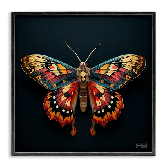 Stupell Industries Vivid Patterned Moth Animals & Insects Painting Black Framed Art Print Wall Art, 12 x 12