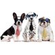 thumbnail image 2 of 4 corbatas para mascotas, pajarita ajustable para perros pequeños, corbatas para gatos, cachorros, gatitos, accesorios de aseo, 2 of 7