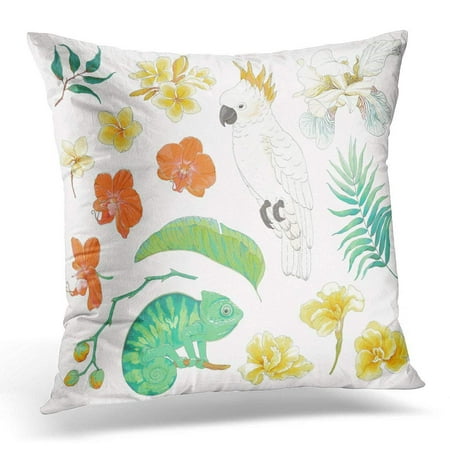 Tropical Leaf Collection ARHOME Collection of Tropical Floral with Parrot Chameleon Leaves Flowers Plumeria Orchid Canna and Fleur De Pillow Case Pillow Cover 18x18 inch ()