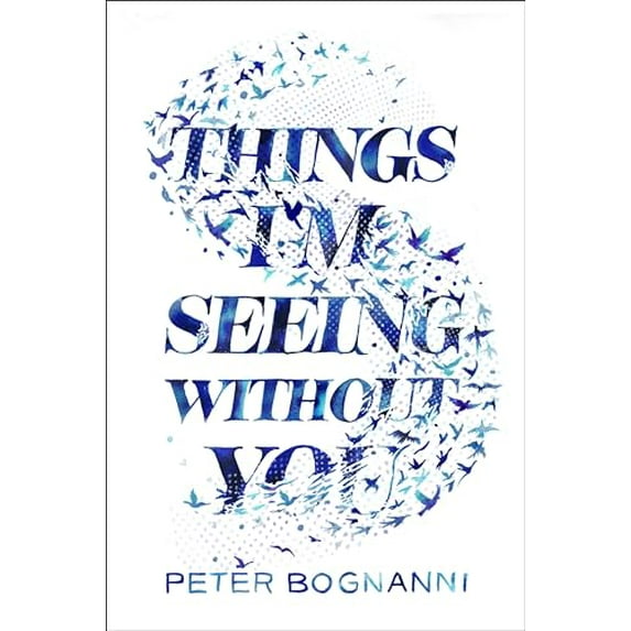 Pre-Owned Things I'm Seeing Without You (Hardcover) 0735228043 9780735228047