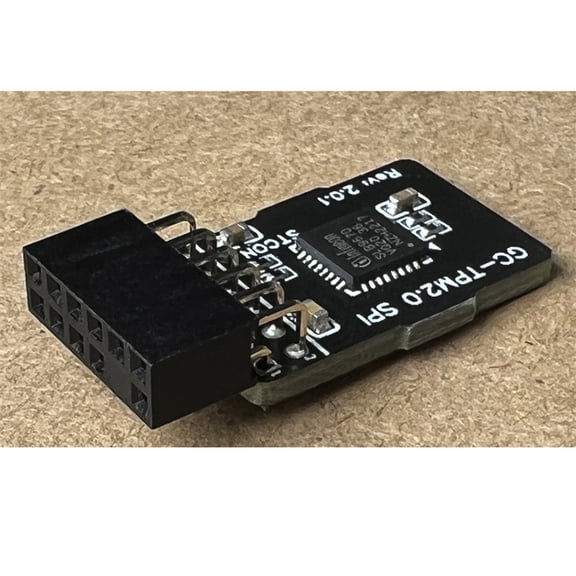 Acaigel 1 X 2.0 Tpm Module Fit For Gigabyte Gc-Tpm2.0 Spi 2.0 Tpm Module (12 Pin 12-1)
