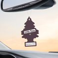 thumbnail image 4 of LITTLE TREES air freshener Blackberry Clove 3-Pack, 4 of 8