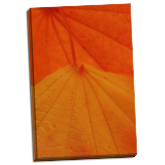 Gango Home Decor Leaf Romance 2 by Vitaly Geyman (Ready to Hang); One 24x36in Hand-Stretched Canvas