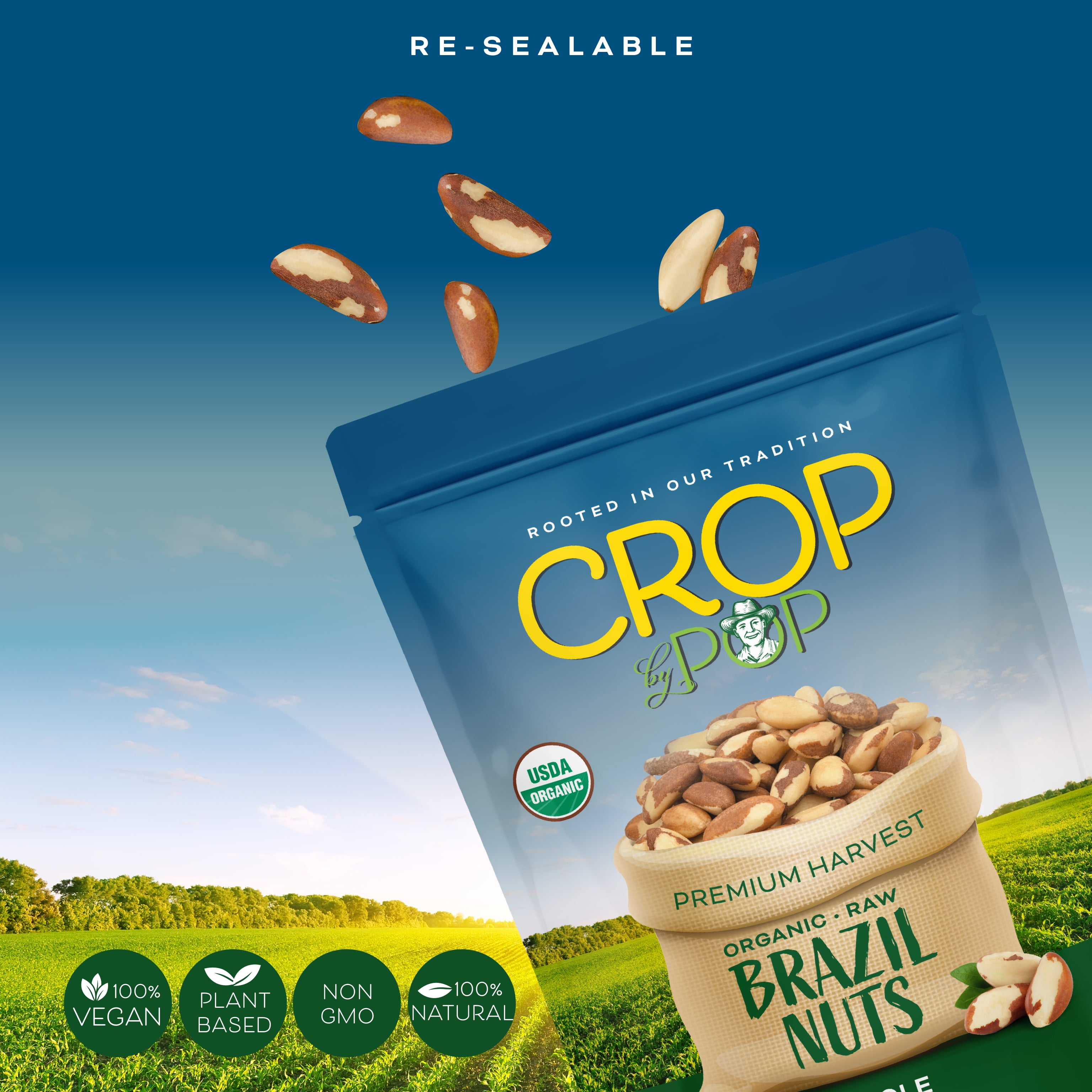 Crop By Pop - Organic Brazil Nuts Raw USDA Organic Non GMO (32 Oz - 2 LB) All Natural, Keto, Vegan, Kosher