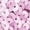 Pink, variant on Yhong Kids Girls Sequin Hip Hop Jazz Dance Shorts Elastic Waist Sparkly Glitter Short Pants Birthday Red 145-160/16