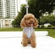 thumbnail image 2 of Sweet Floral Dog Puppy Harness Leash Lead Walking Collar Vest Strap Blue XS Salvador Dali Conjunto de correa de arnés, 2 of 9