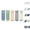 Green, variant on Paiwinds Kids Football Socks 5-Pack Breathable Mesh Cotton Mid-Calf Sport Socks for Boys Ages 3-14