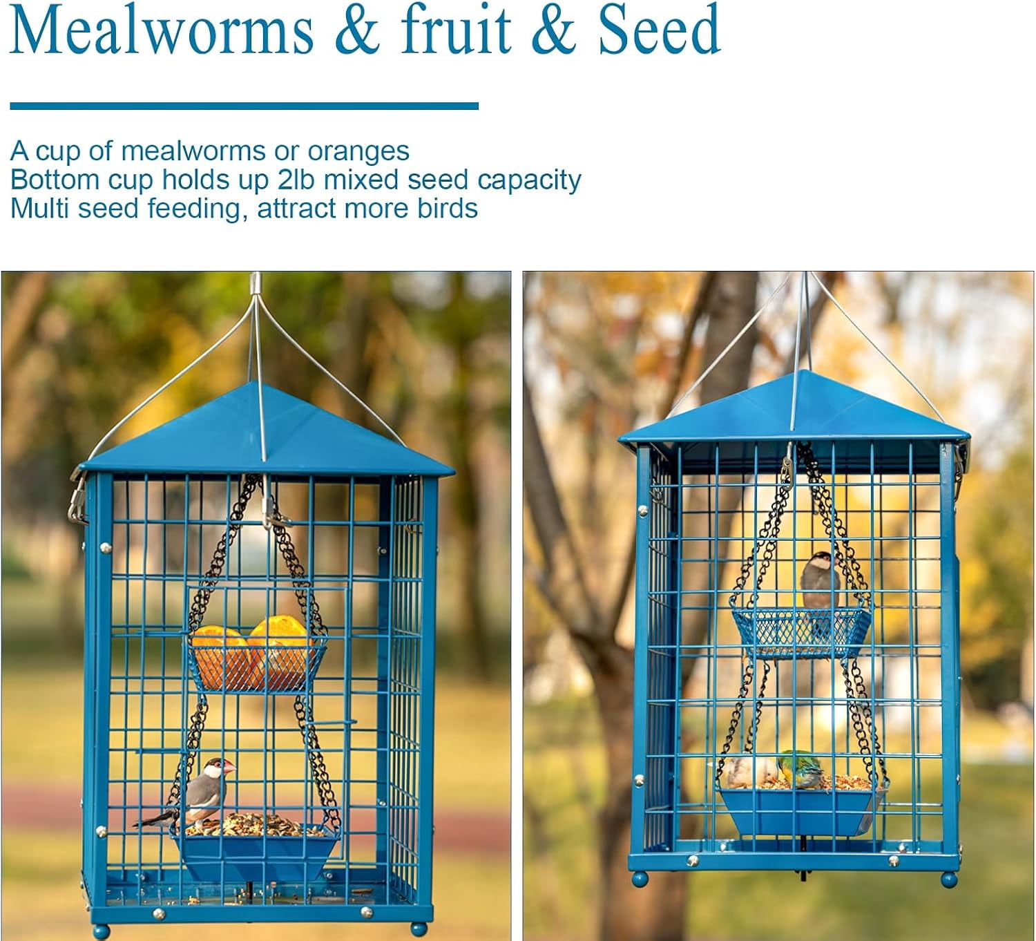 Bird Feeders for Bluebirds - Metal - Huge Caged Squirrel-proof Bird Feeders with 2 Cups, DIY Wild Bird Feeders Outdoor Hanging (Blue), Attract Small Birds, 2lbs Seed Capacity+1 Cup
