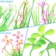 thumbnail image 4 of Decoración de mesa de arena para pecera, simulación de plástico, plantas acuáticas, flores artificiales, paisajismo para acuario, serie CS, 4 of 5