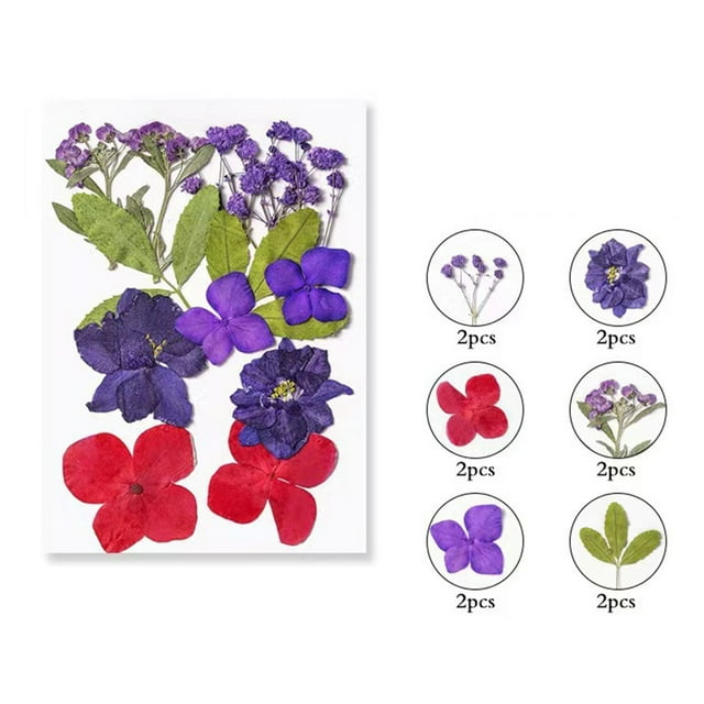 Pcksrro Home Decorations Items and Hanging Ornaments Deal!Colorful Natural Dried Flowers And Embossed Decorative Set