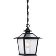 thumbnail image 2 of Acclaim 9706BK Salem Collection 1-Light Outdoor Light Fixture Hanging Lantern, Matte Black, 2 of 2