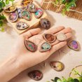 thumbnail image 6 of U8MO 16Pcs Teardrop Resin Wood Pendants Brass Earring Hooks DIY Earring Making Kits, 6 of 8