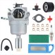 thumbnail image 1 of Carburador para Motores de Cortacésped 799727 698620 794572 287707 287777 28N707 28N777 28P777 28Q777 con Kit de Ajuste, 1 of 6