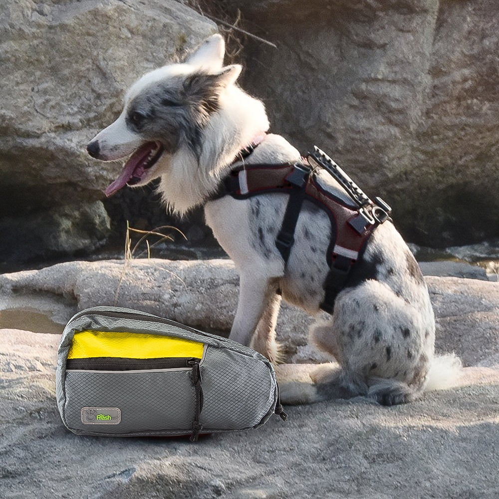 backpack harness for small dogs