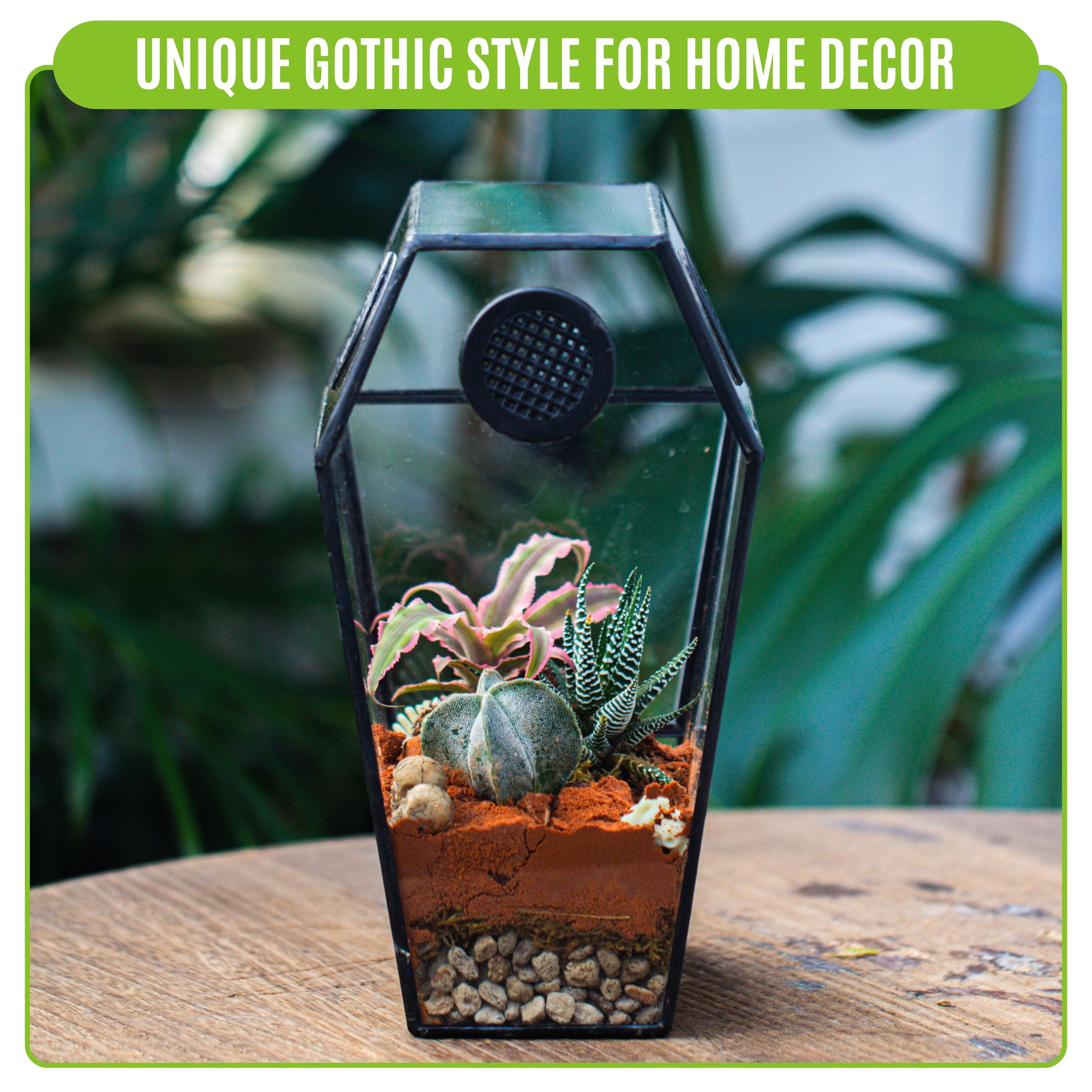 NCYP Gothic Glass Enclosure for Jumping Spider, Snails, Insects - Front Opening Door Geometric Cactus Plants Terrarium with Vent Holes, Indoor Tabletop Coffin Shape Decor, Black (Terrarium Only)